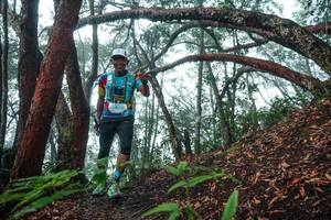 BIB: 
                            <button type="button" onclick="openModal(26343988)" class="btn btn-primary btn-sm float-right btn-popup" data-toggle="modal" data-target=".modal-high-quality">
                        <i class="fas fa-shopping-cart"></i> Add to Cart
                    </button>
                                            <button type="button" onclick="isThisMe(26343988, true)" class="btn btn-success btn-sm float-right btn-popup btn-isme hidden" data-toggle="tooltip" data-placement="bottom" title="นี่คือรูปของคุณใช่ไหม คลิกที่นี่เพื่อเอาเข้าอัลบั้ม">
                        <i class="fas fa-plus"></i> Add to album
                    </button>
                    <button type="button" onclick="isThisMe(26343988, false)" class="btn btn-warning btn-sm float-right btn-popup btn-isnotme hidden">
                        <i class="fas fa-ban"></i> Remove from album
                    </button>